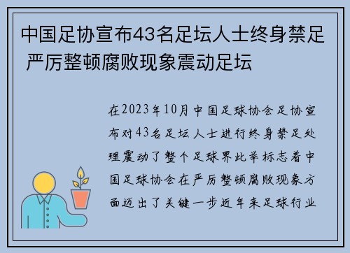 中国足协宣布43名足坛人士终身禁足 严厉整顿腐败现象震动足坛